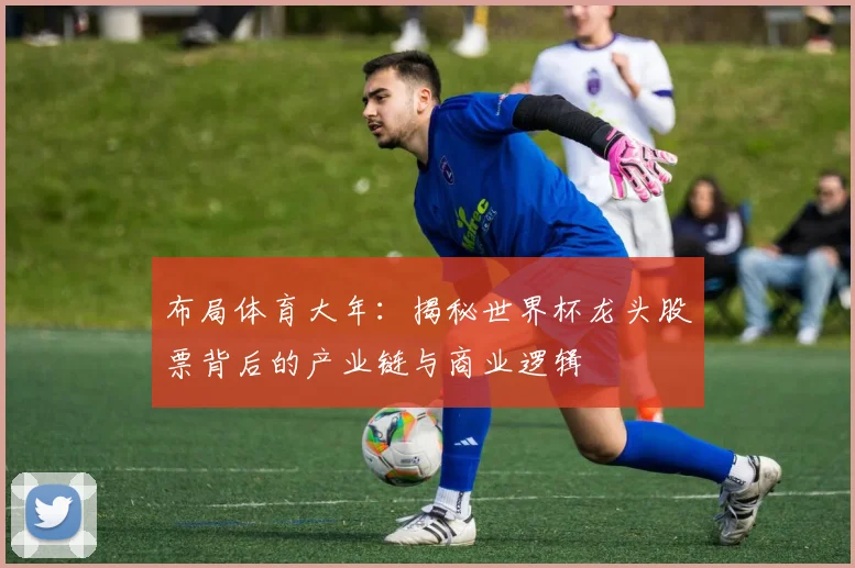 布局体育大年：揭秘世界杯龙头股票背后的产业链与商业逻辑